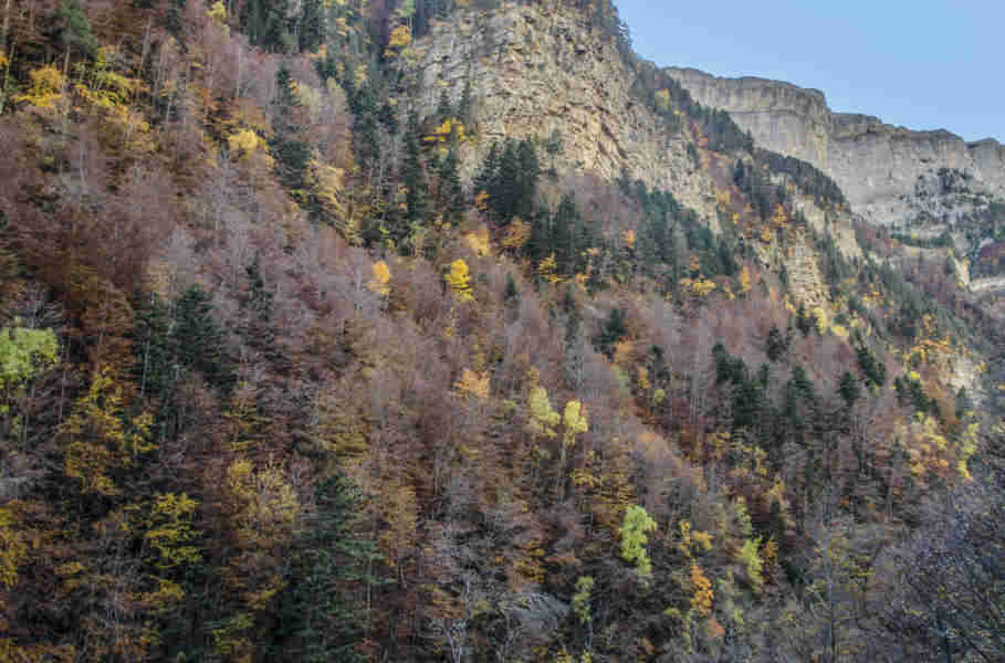 Huesca - parque nacional de Ordesa y Monte Perdido - valle de Ordesa 28.jpg